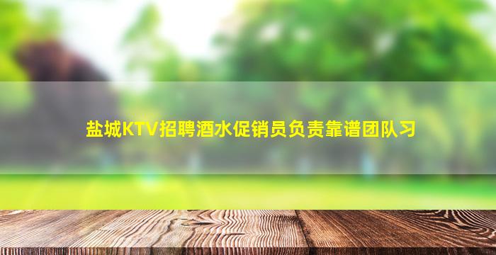 盐城KTV招聘酒水促销员负责靠谱团队习